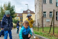 Picture6